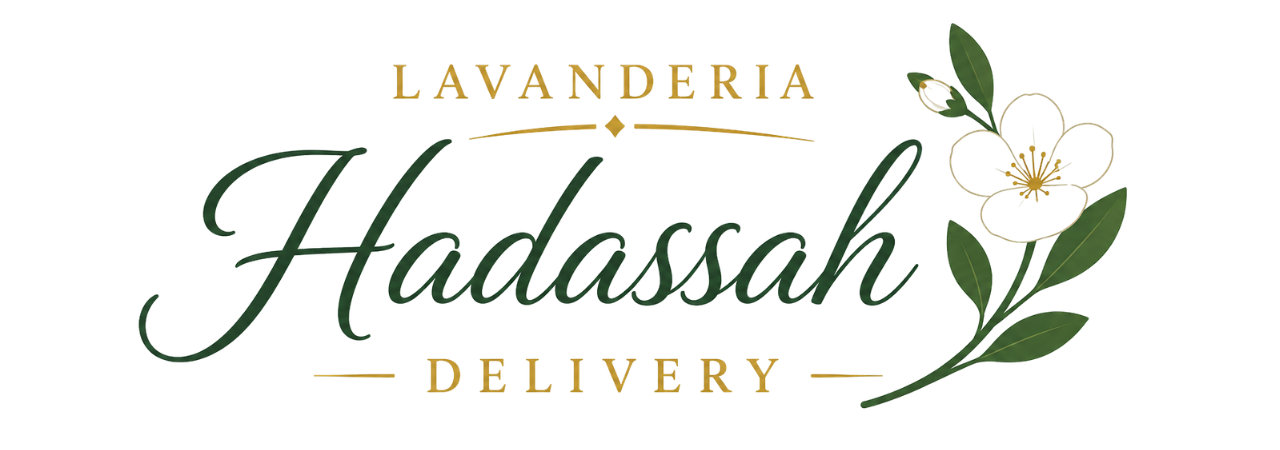 Lavanderia Hadassah Delivery